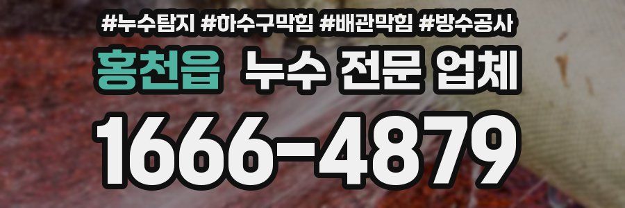 홍천읍 누수 전문 업체