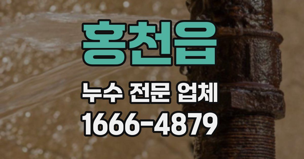 홍천읍 누수 전문 업체
