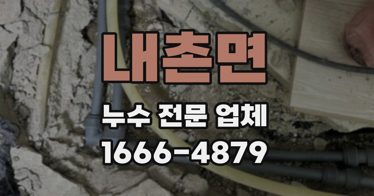 내촌면 누수 전문 업체