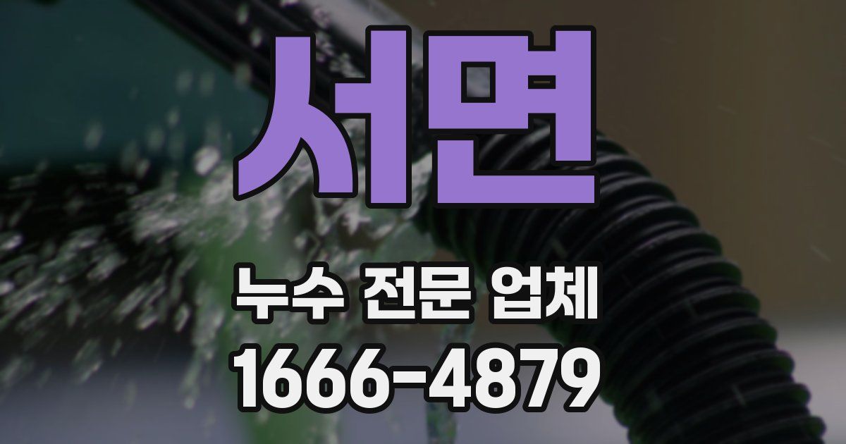 서면 누수 전문 업체