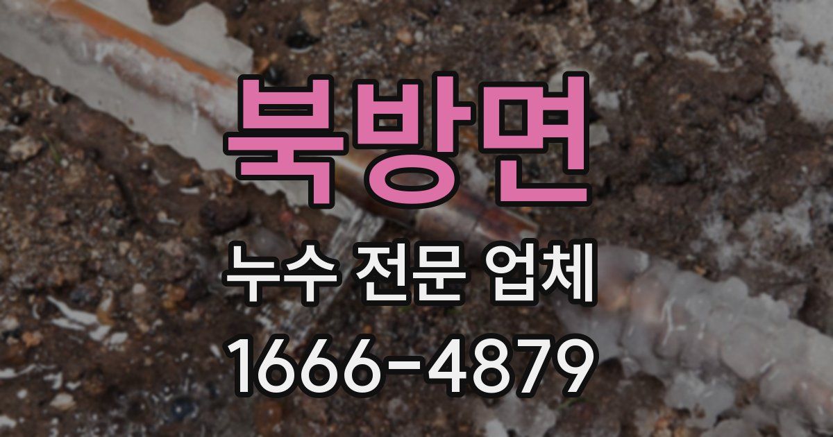 북방면 누수 전문 업체