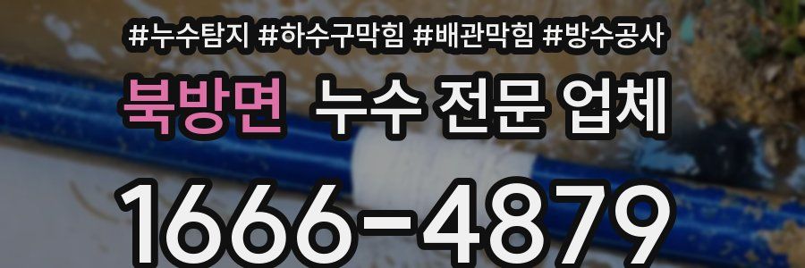 북방면 누수 전문 업체