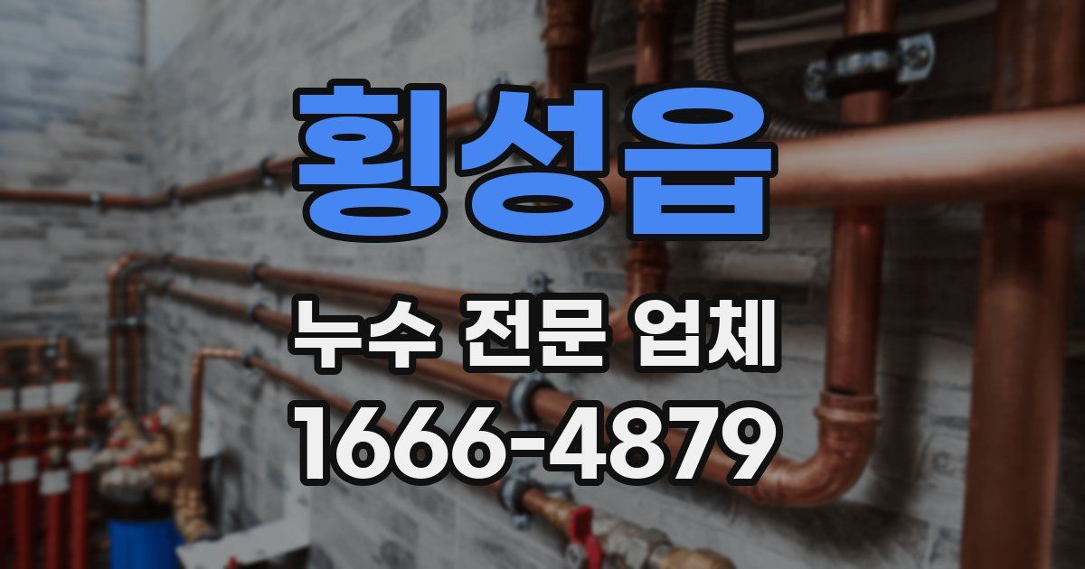 횡성읍 누수 전문 업체