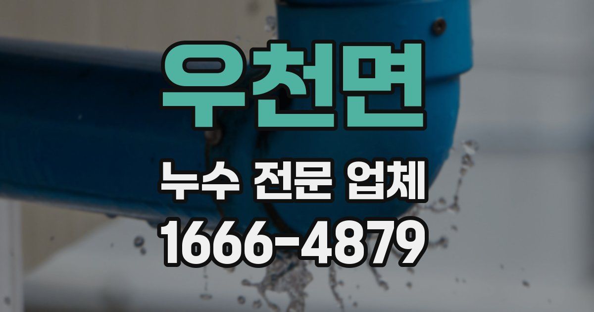 우천면 누수 전문 업체