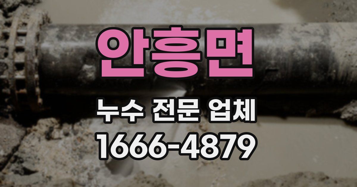 안흥면 누수 전문 업체