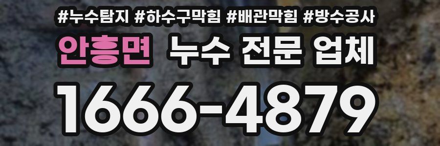 안흥면 누수 전문 업체