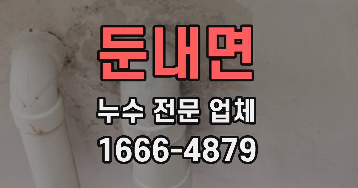 둔내면 누수 전문 업체