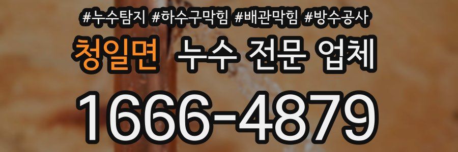 청일면 누수 전문 업체