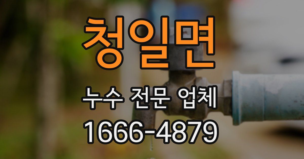 청일면 누수 전문 업체