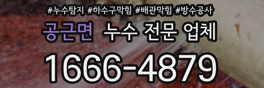 공근면 누수 전문 업체