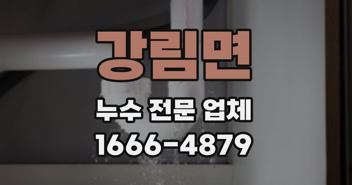 강림면 누수 전문 업체