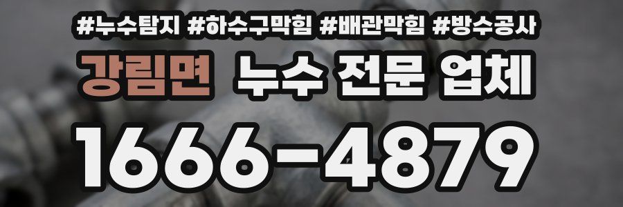 강림면 누수 전문 업체