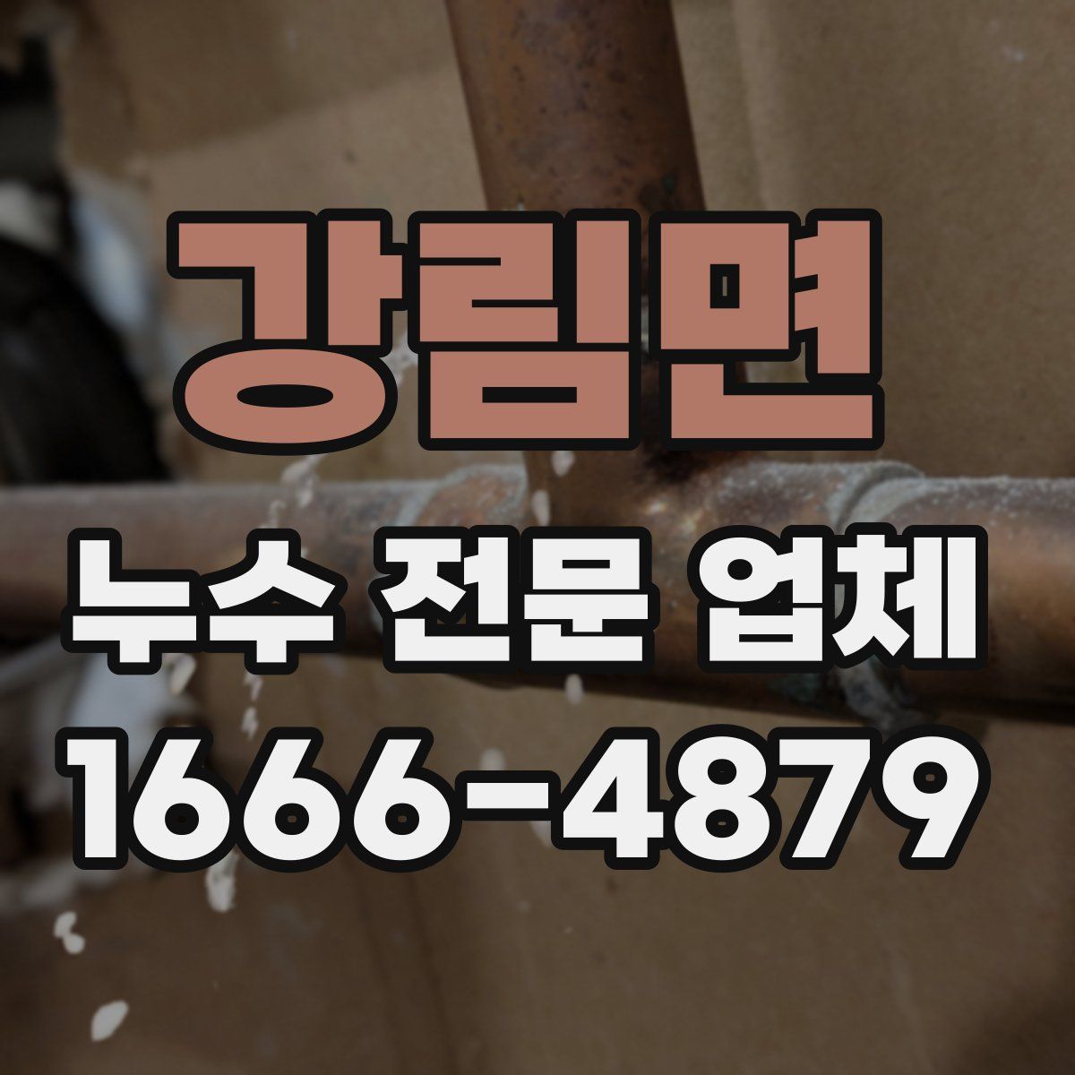 강림면 누수 전문 업체