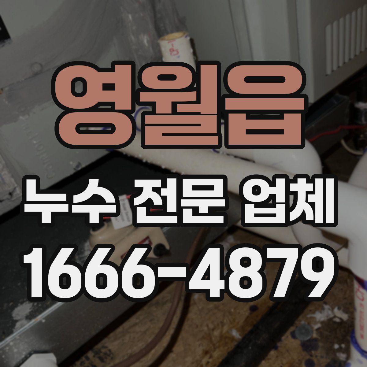 영월읍 누수 전문 업체