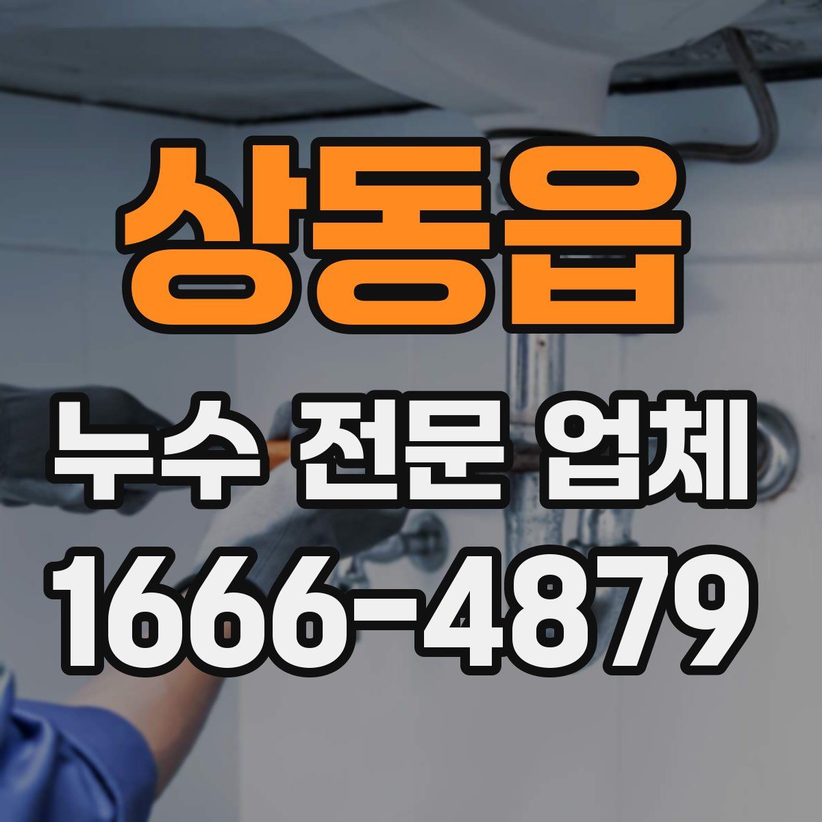 상동읍 누수 전문 업체