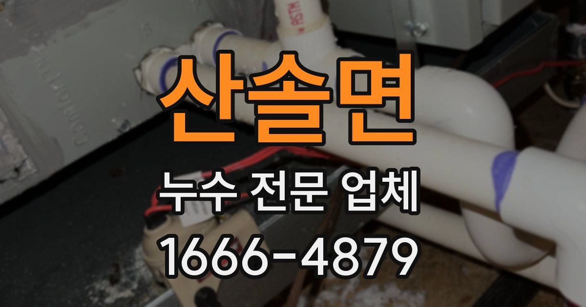 산솔면 누수 전문 업체