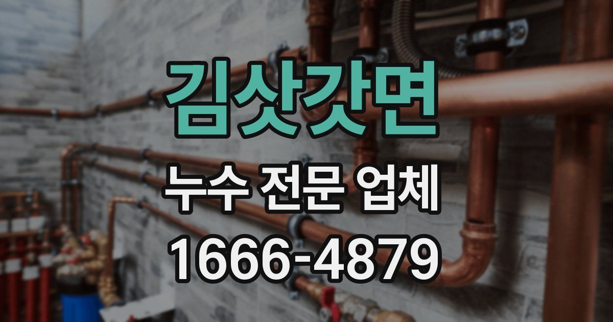 김삿갓면 누수 전문 업체