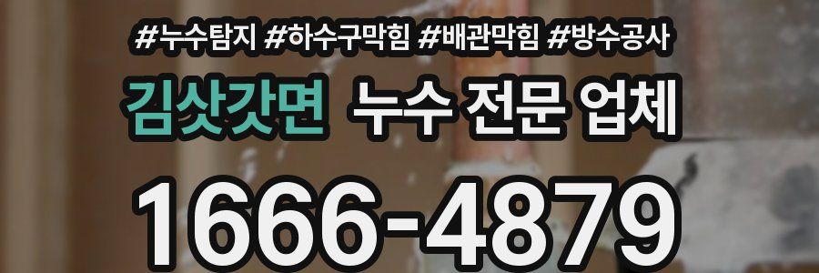 김삿갓면 누수 전문 업체
