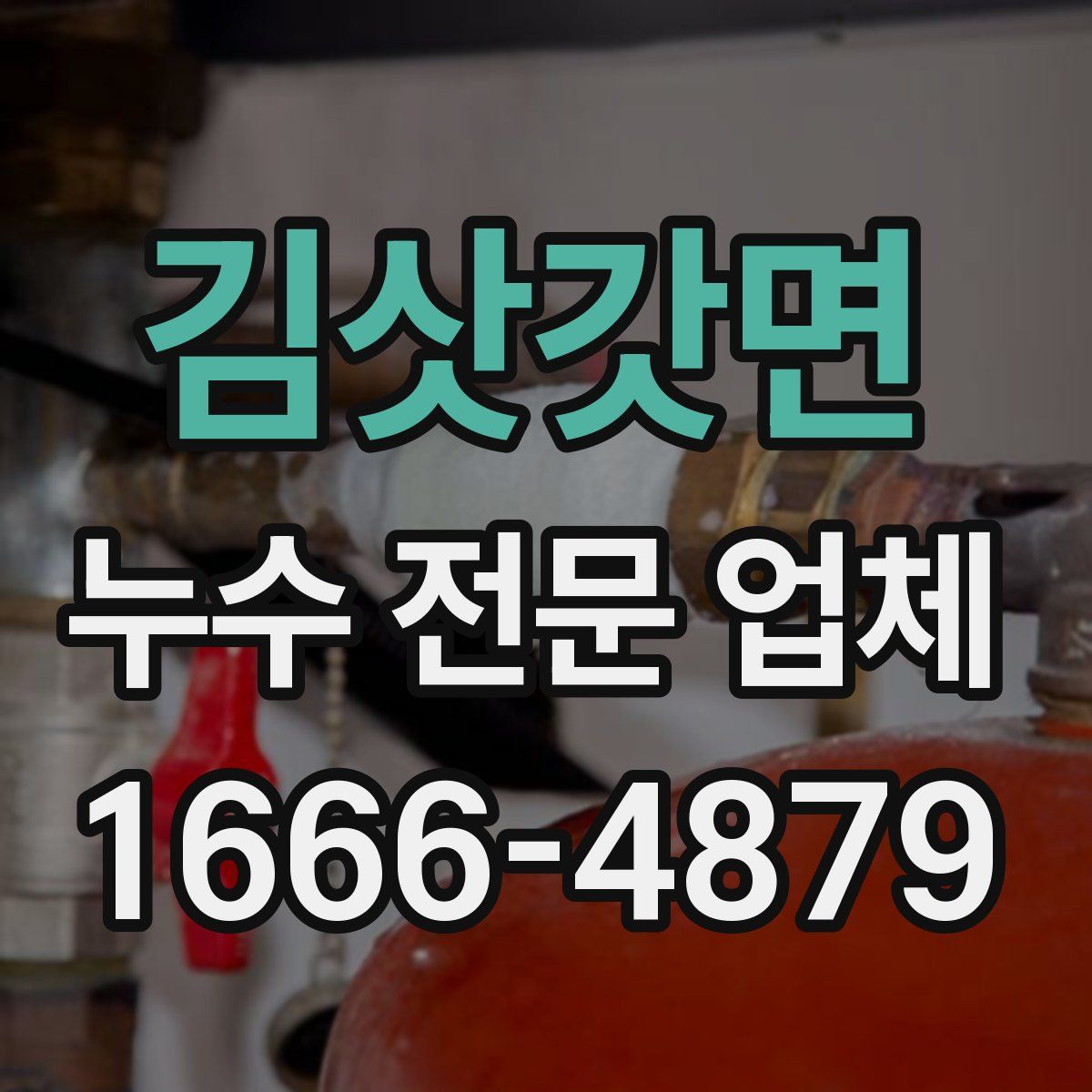 김삿갓면 누수 전문 업체