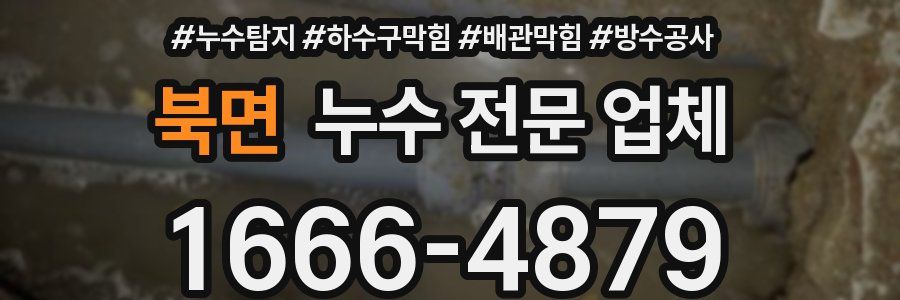 북면 누수 전문 업체