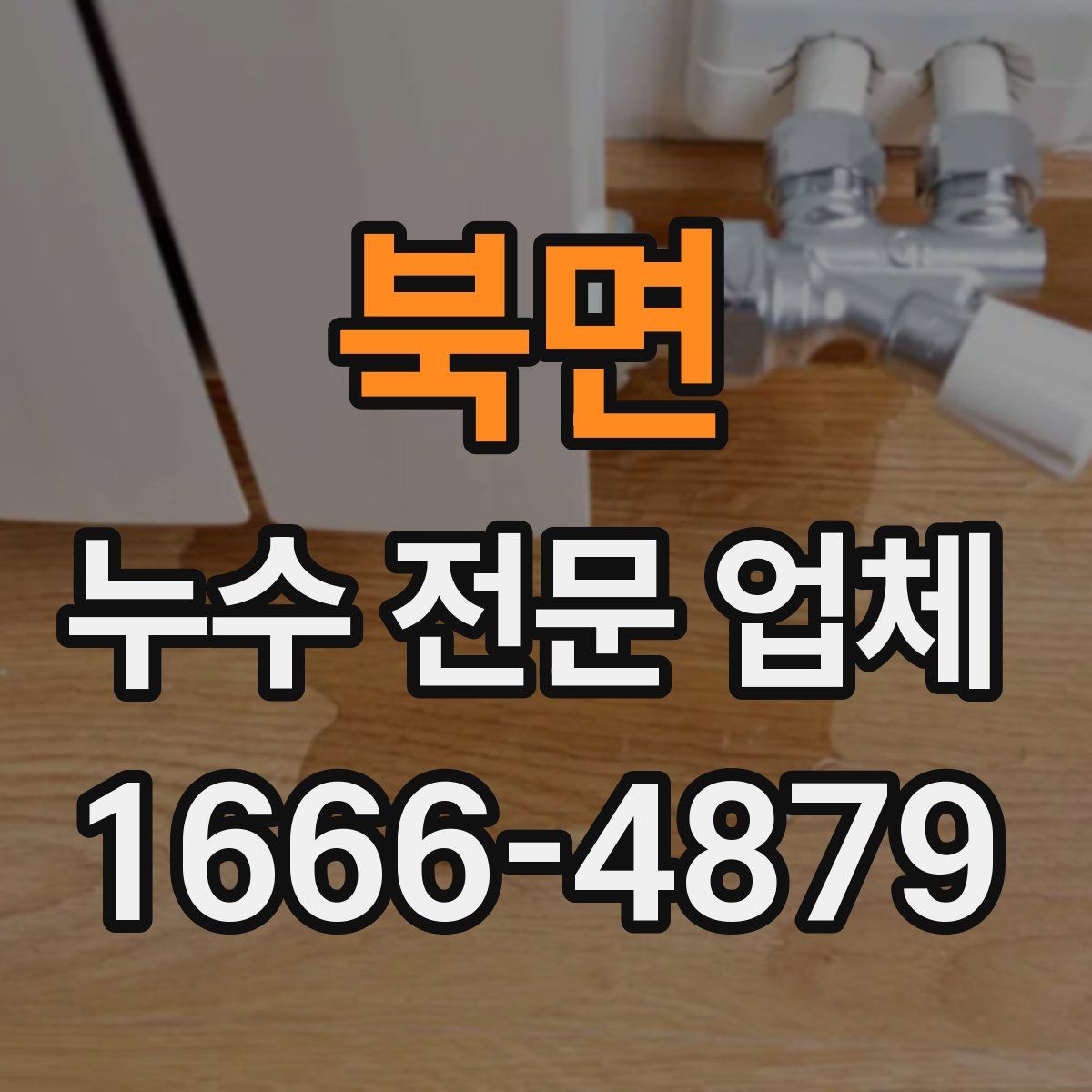 북면 누수 전문 업체