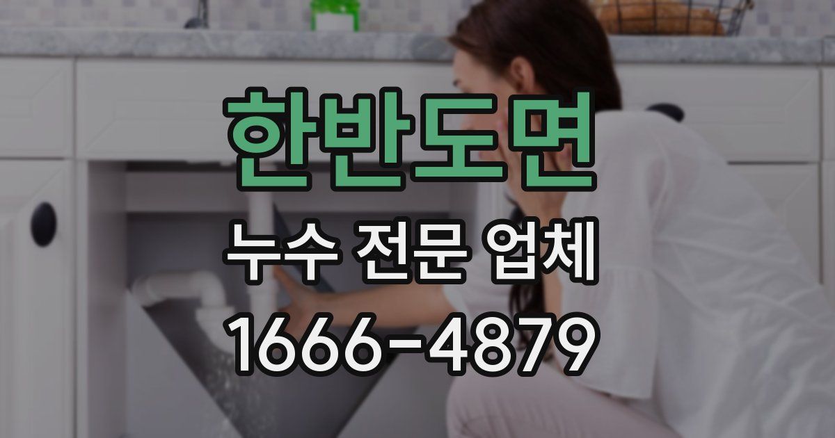 한반도면 누수 전문 업체