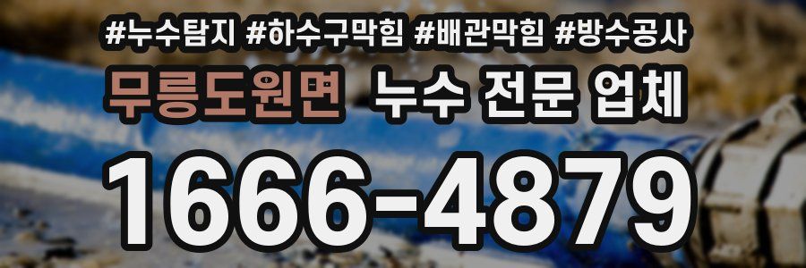 무릉도원면 누수 전문 업체