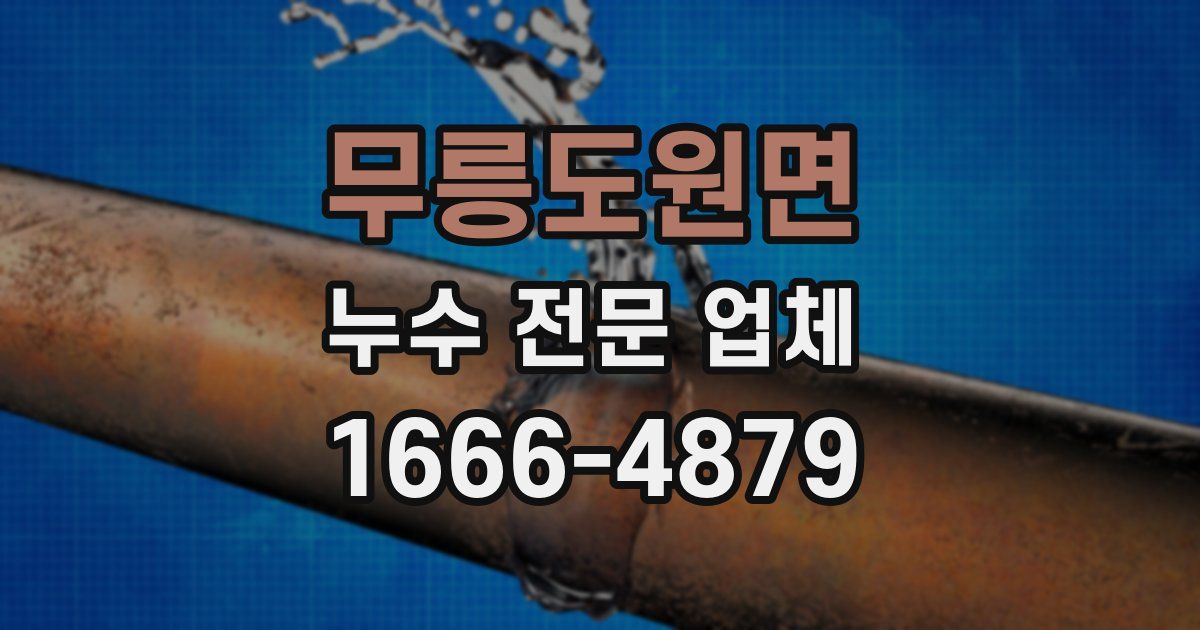 무릉도원면 누수 전문 업체