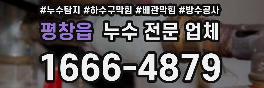 평창읍 누수 전문 업체