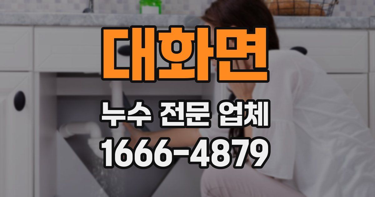 대화면 누수 전문 업체