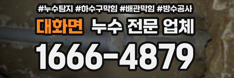 대화면 누수 전문 업체