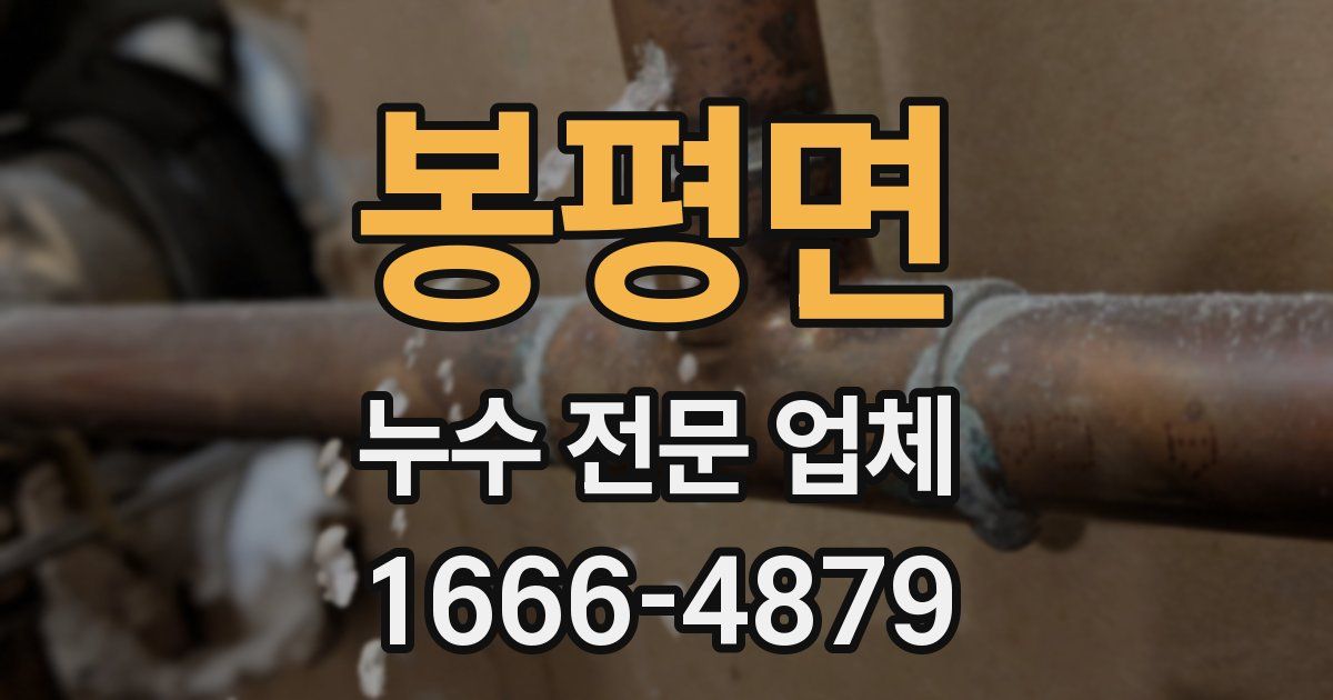 봉평면 누수 전문 업체
