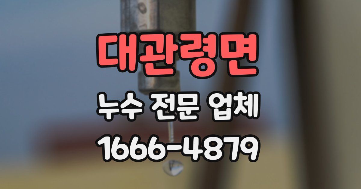 대관령면 누수 전문 업체