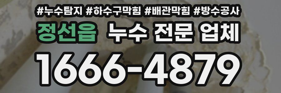 정선읍 누수 전문 업체
