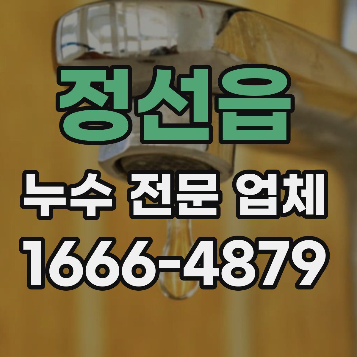 정선읍 누수 전문 업체