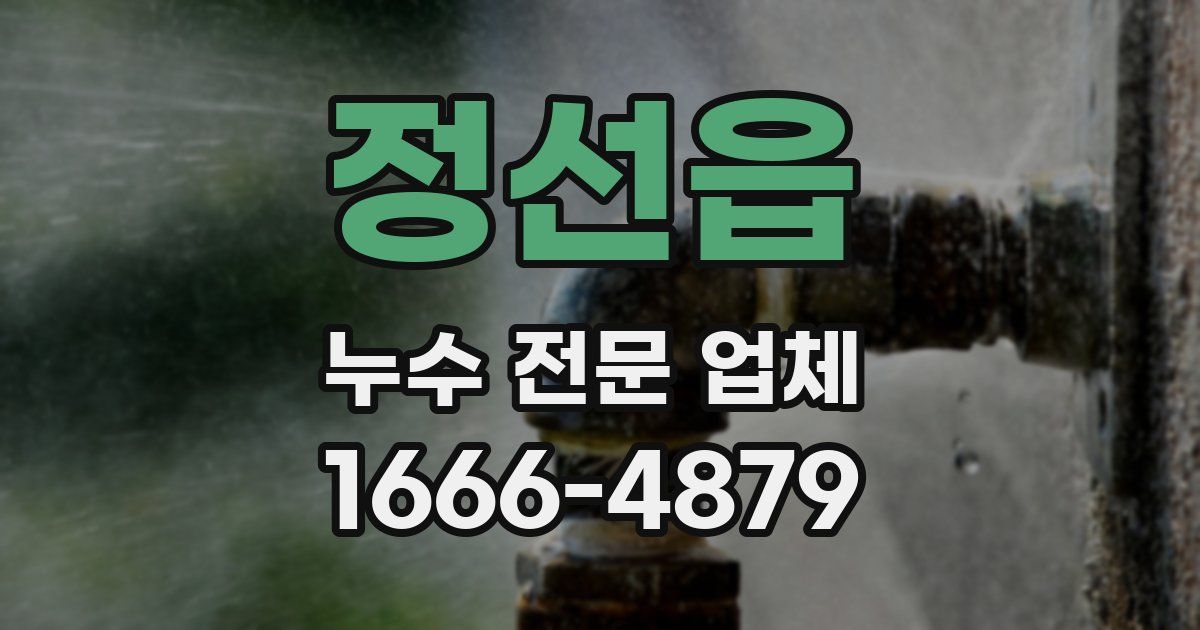 정선읍 누수 전문 업체