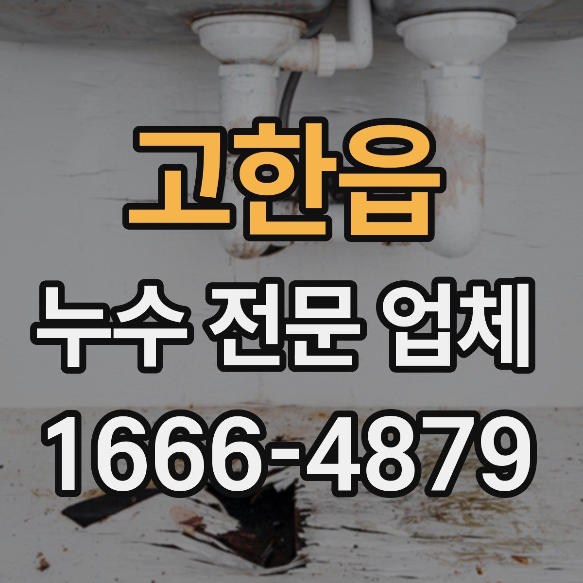 고한읍 누수 전문 업체