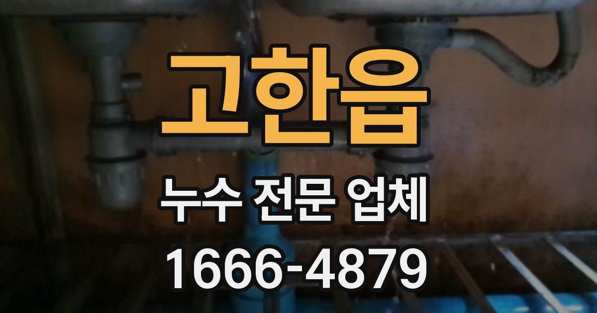고한읍 누수 전문 업체