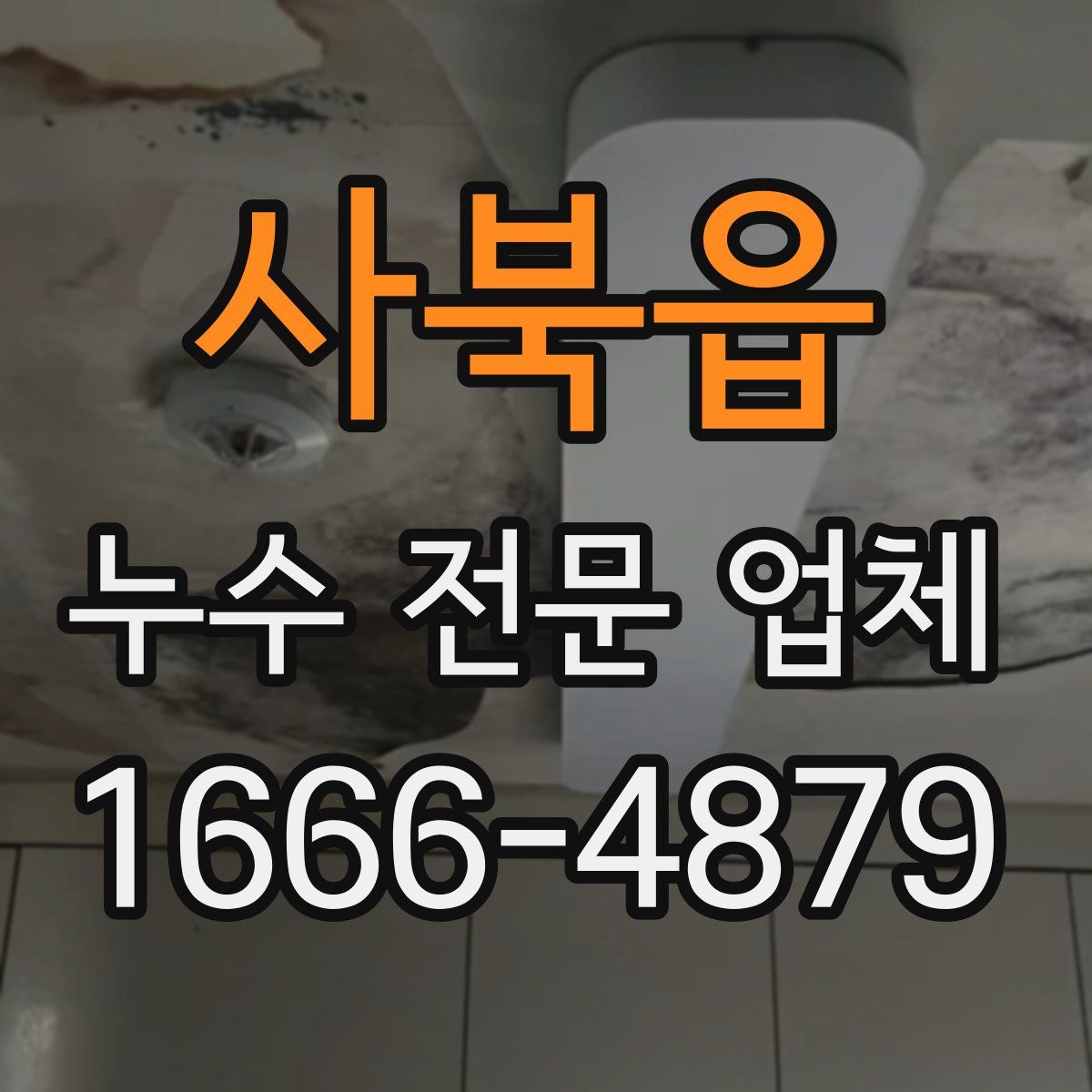 사북읍 누수 전문 업체