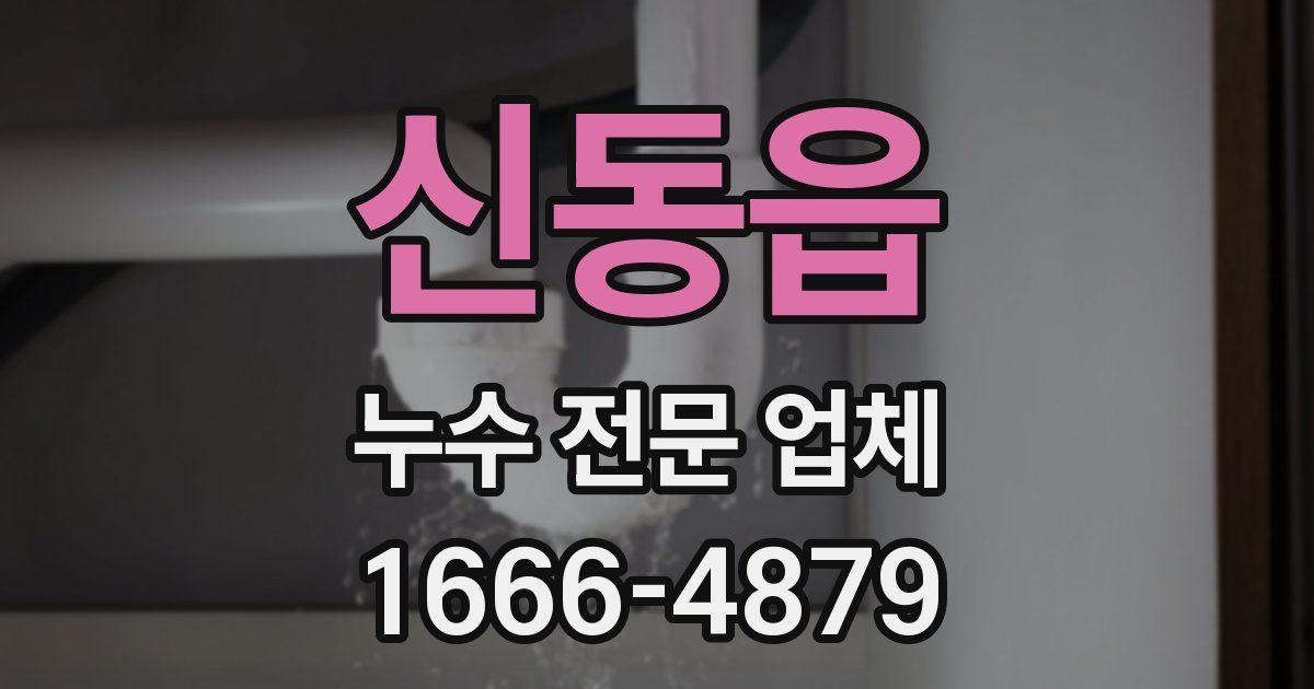 신동읍 누수 전문 업체