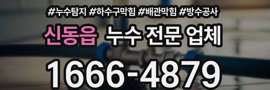 신동읍 누수 전문 업체