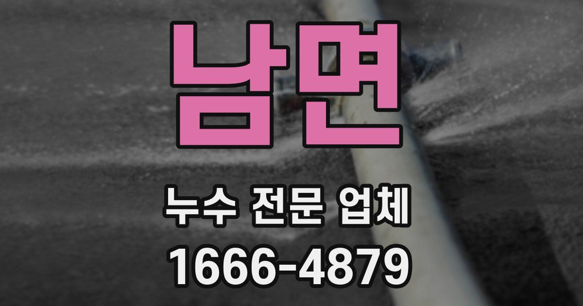 남면 누수 전문 업체