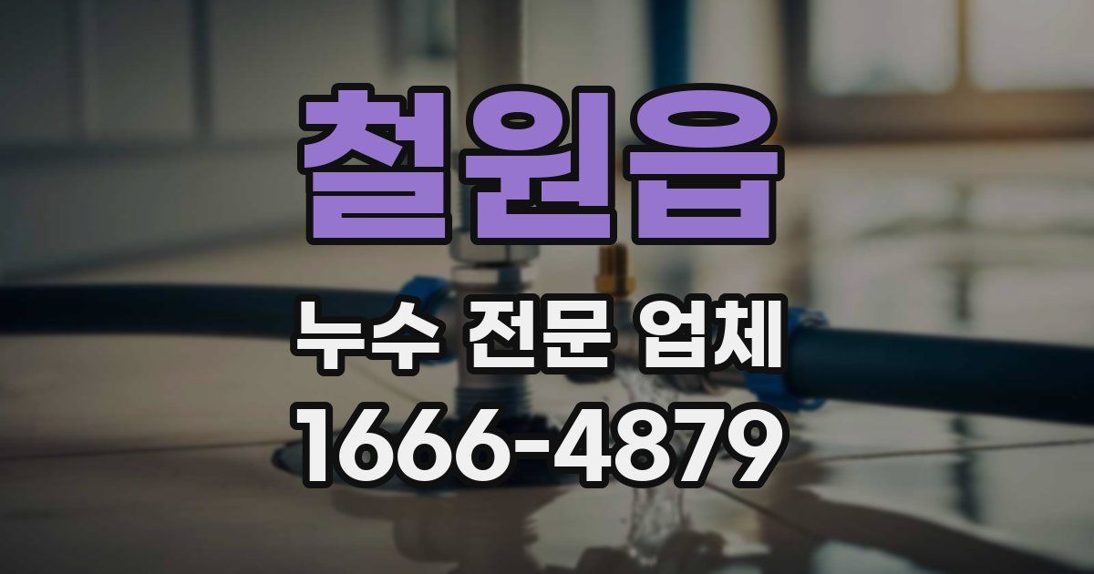 철원읍 누수 전문 업체