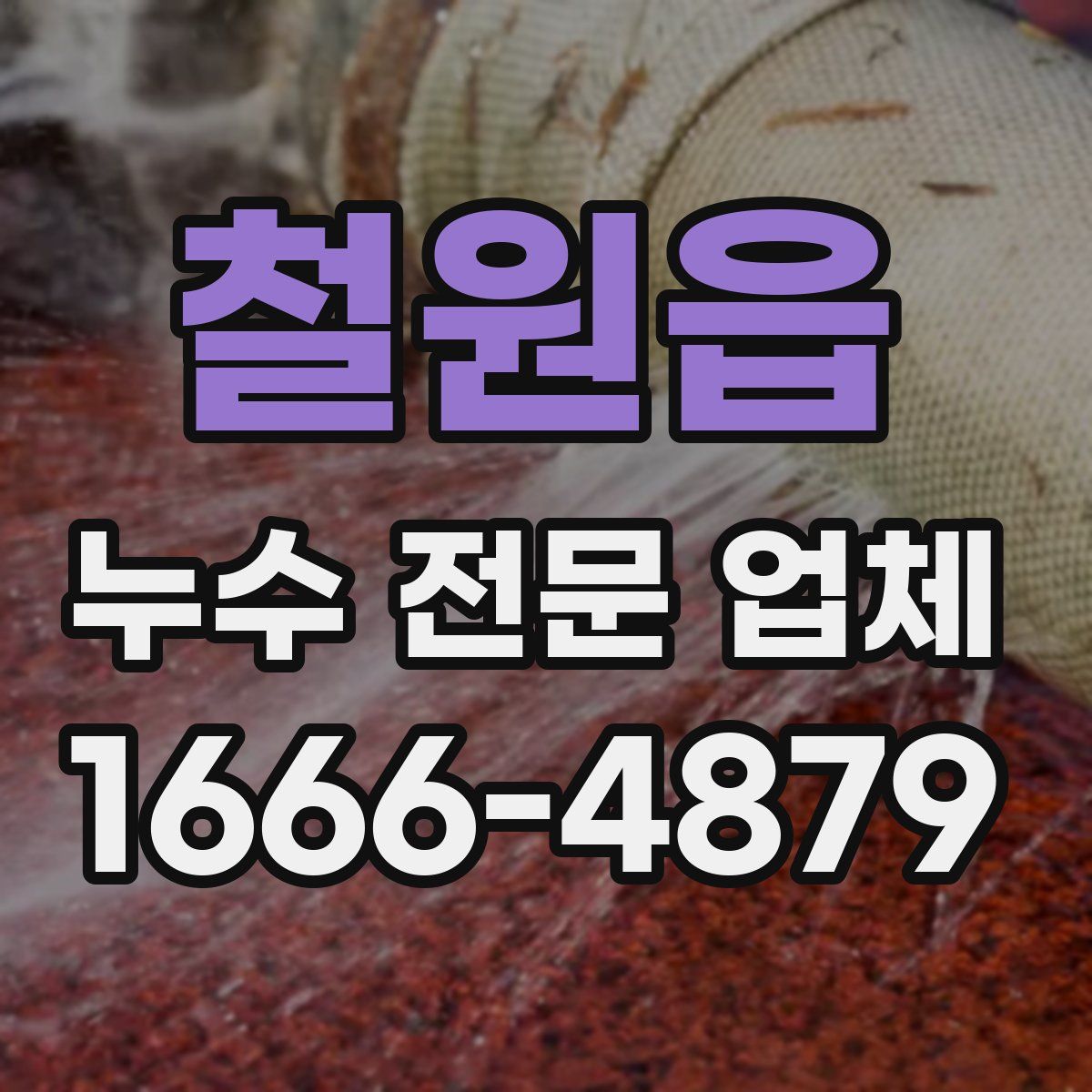 철원읍 누수 전문 업체
