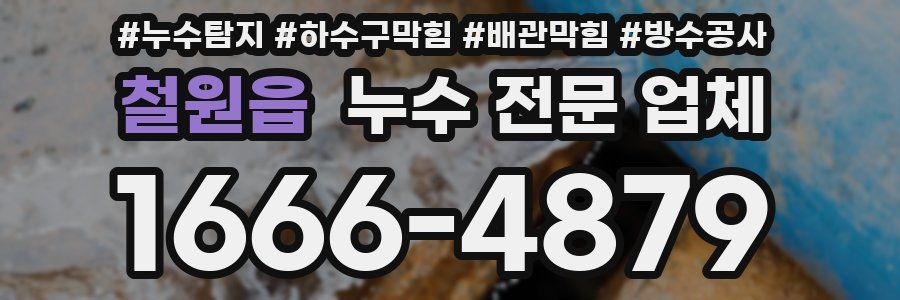 철원읍 누수 전문 업체