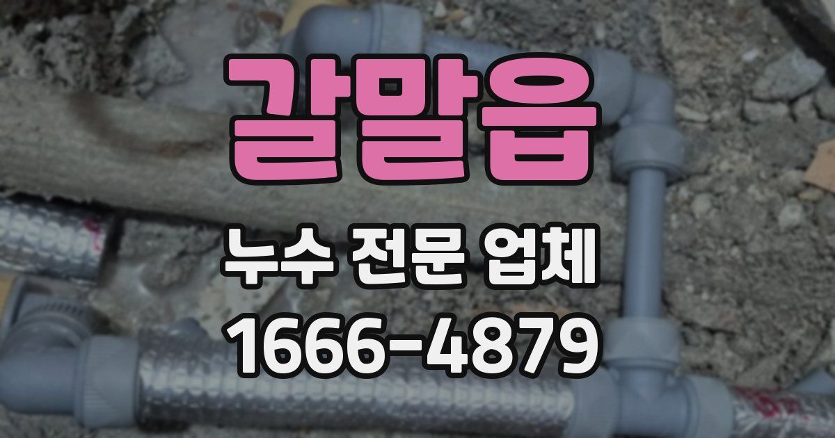 갈말읍 누수 전문 업체
