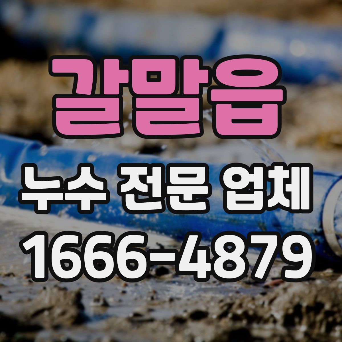 갈말읍 누수 전문 업체