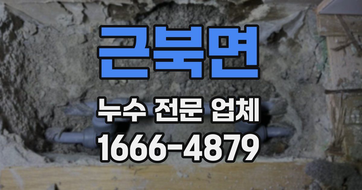 근북면 누수 전문 업체