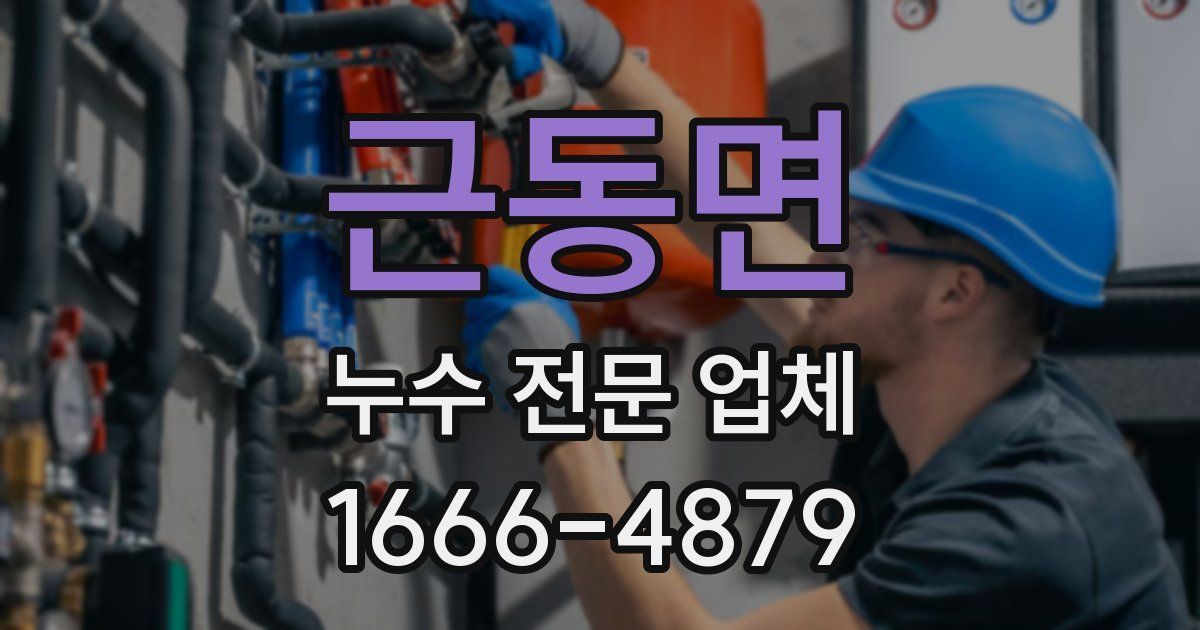 근동면 누수 전문 업체