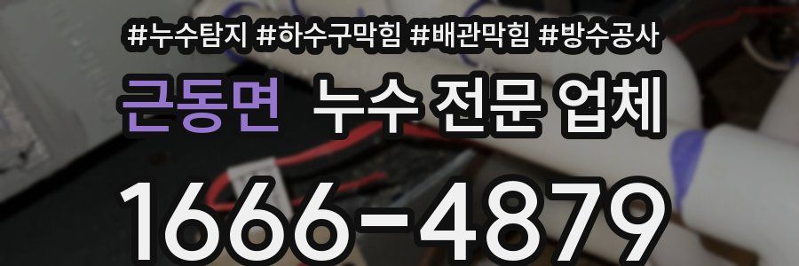 근동면 누수 전문 업체